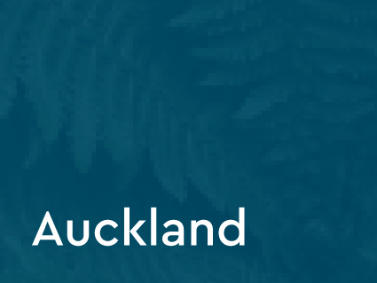North Auckland Social - Sole Practitioners